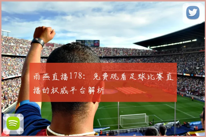 雨燕直播178：免费观看足球比赛直播的权威平台解析