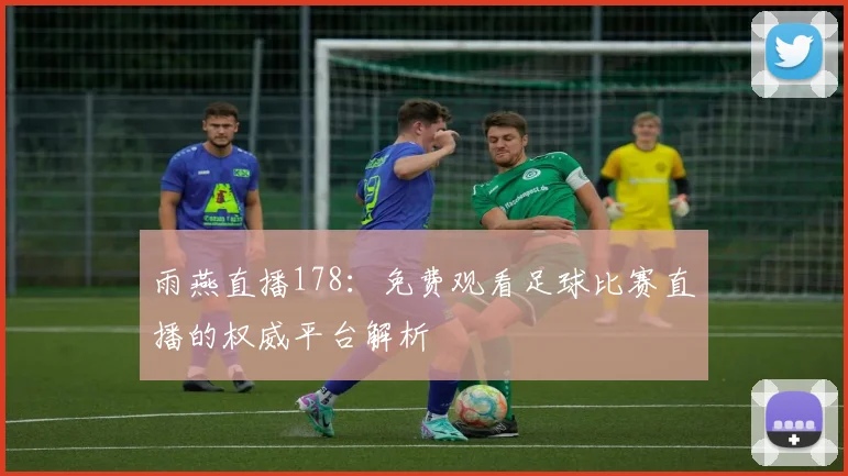雨燕直播178：免费观看足球比赛直播的权威平台解析